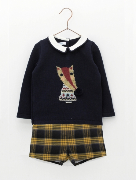 Boy jumper with fox print and shorts