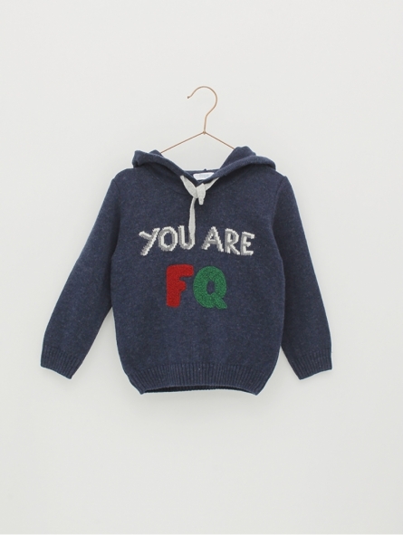 Sweater type sweatshirt with capucha and embroidery