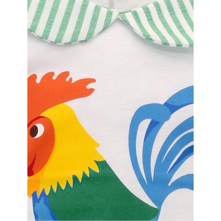 Baby boy set of rooster T-shirt and bloomers
