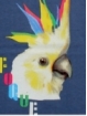 T-shirt criança estampado papagaios