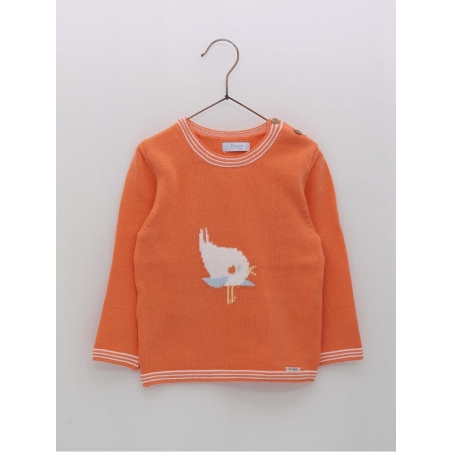 Camisola Pajarito