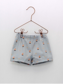 boxer sailboats