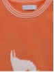 Jersey Pajarito