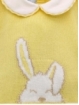 boy bunny set