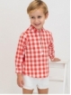 Camisa Vichy manga longa