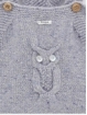 Owl Frog