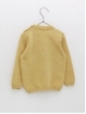 Reindeer Sweater