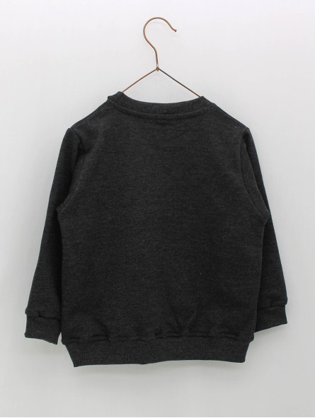 Sudadera debuxo